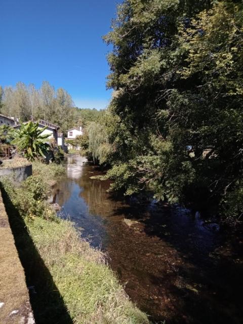 Maison Au Bord De La Riviere Dronne En Perigord Vert Saint-Front-la-Riviere Екстер'єр фото